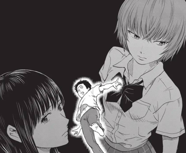 Manga Flower of Evil